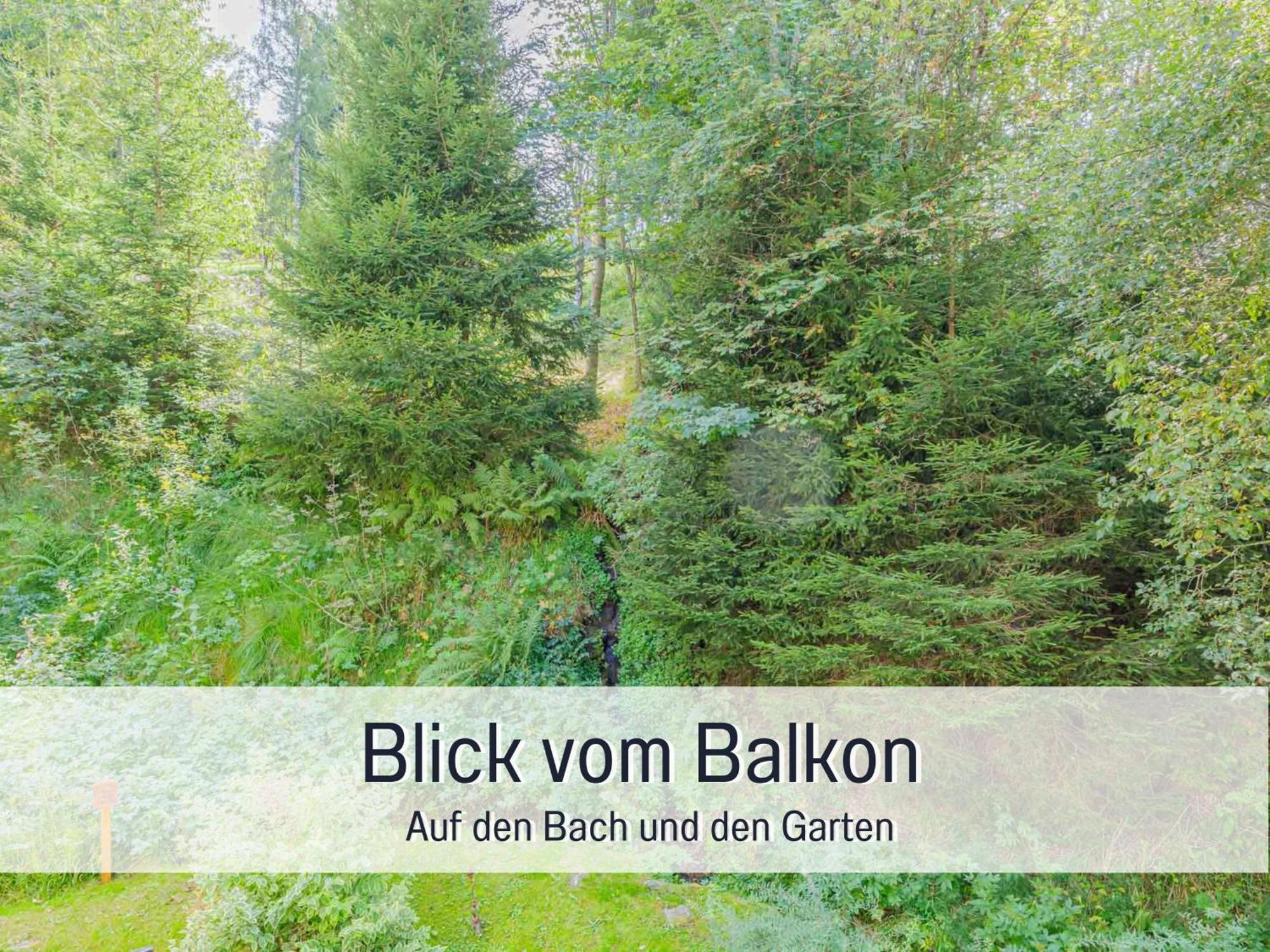 Baechle Im Wanderparadies Balkon Mit Blick Auf Den Bach Sauna Im Haus Tiefgarage E-Ladestation Todtnauberg Eksteriør billede