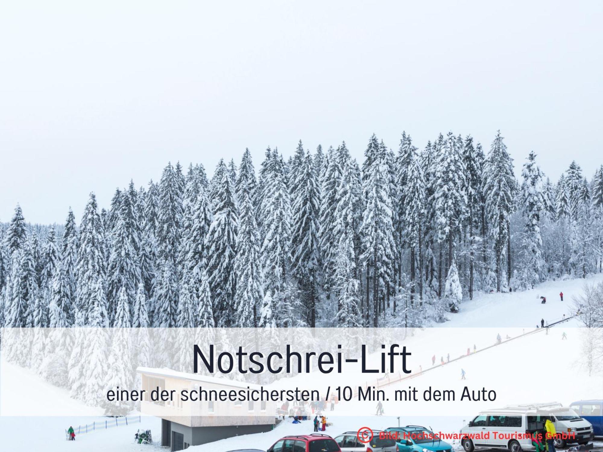 Baechle Im Wanderparadies Balkon Mit Blick Auf Den Bach Sauna Im Haus Tiefgarage E-Ladestation Todtnauberg Eksteriør billede