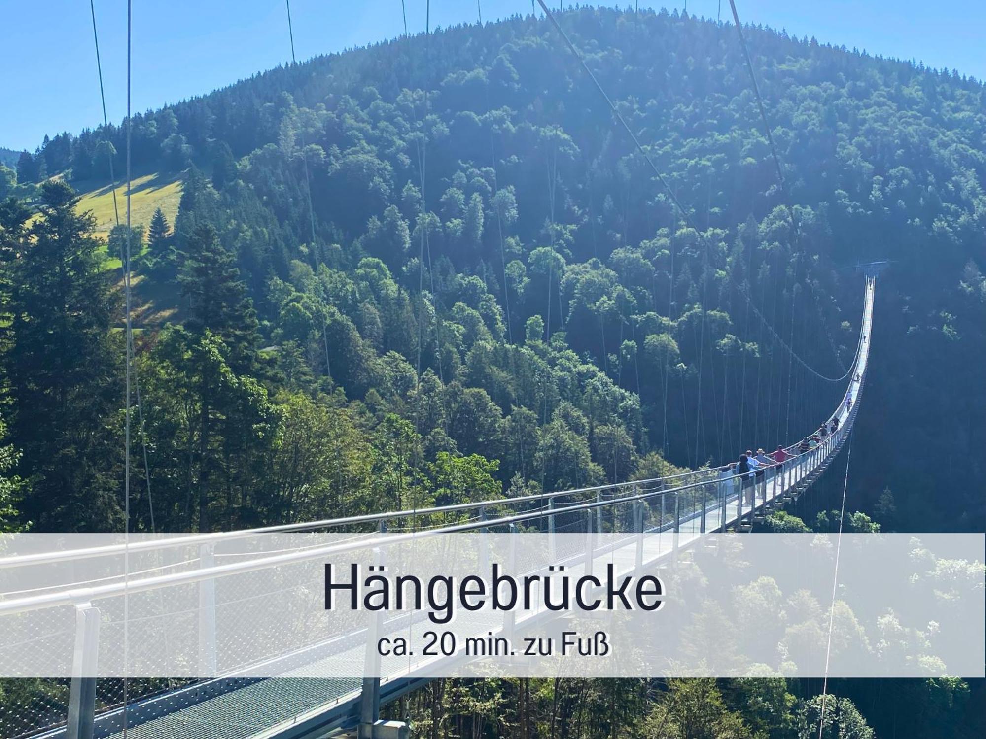 Baechle Im Wanderparadies Balkon Mit Blick Auf Den Bach Sauna Im Haus Tiefgarage E-Ladestation Todtnauberg Eksteriør billede